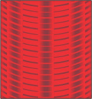 DSG 11