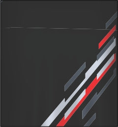 DSG 07