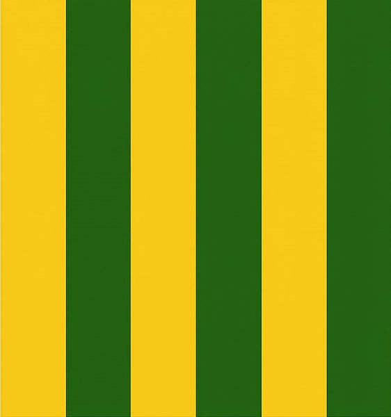 DSG 44